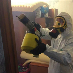 Уничтожение клопов в квартире. Петушки